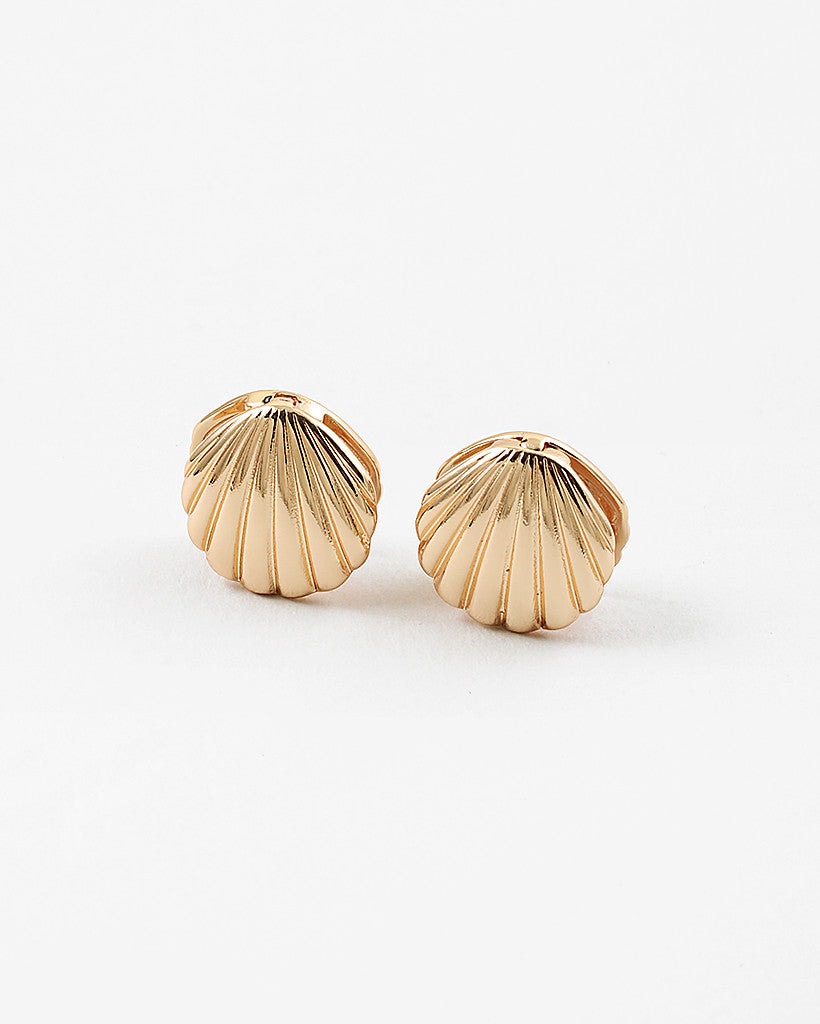 Scallop Shell Earrings