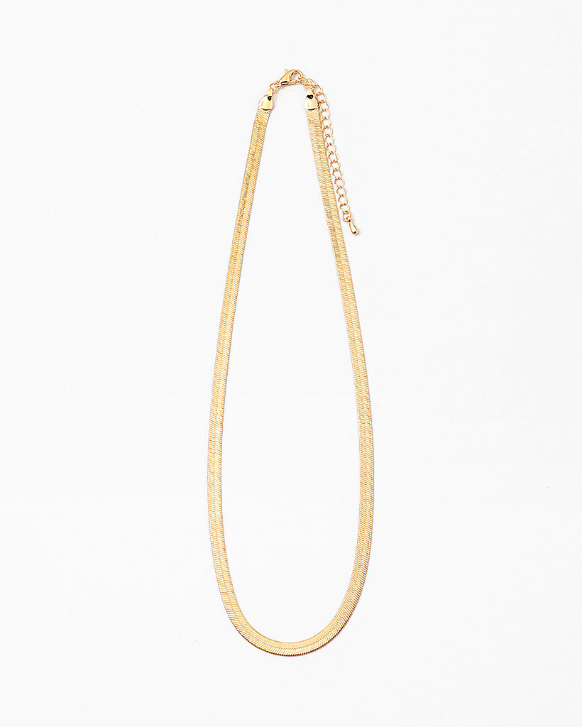Simple Snale Chain Necklace