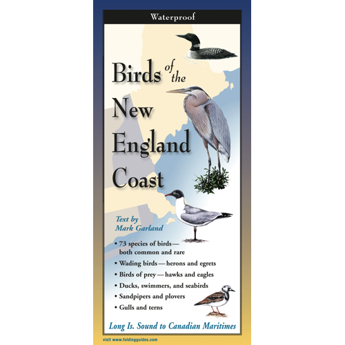 Birds of the New England Coast