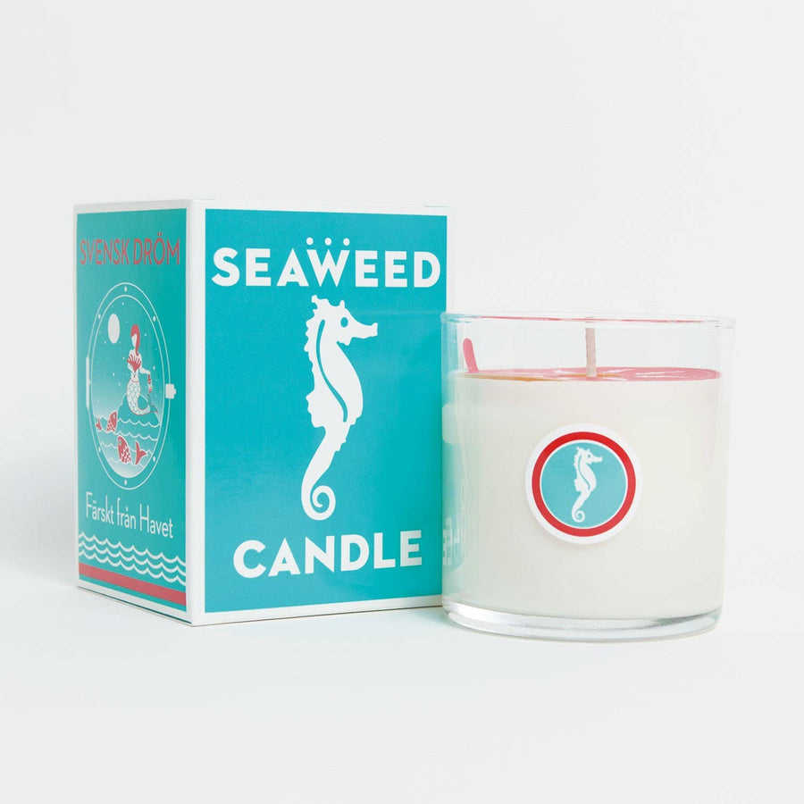 Seaweed Candle - Swedish Dream