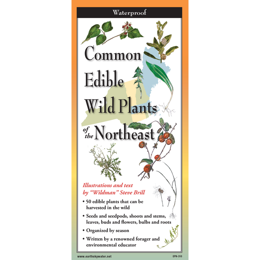 Common Edible Wild Plants of the Northeast